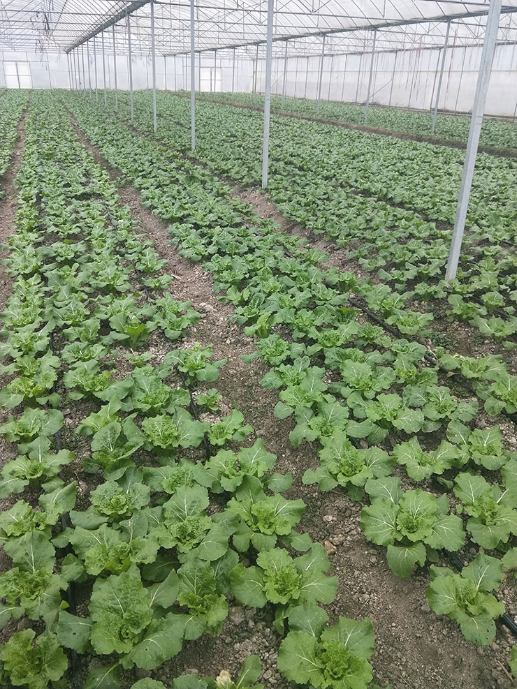 2121�Ƿ���(�й���)�����ٷ���վ