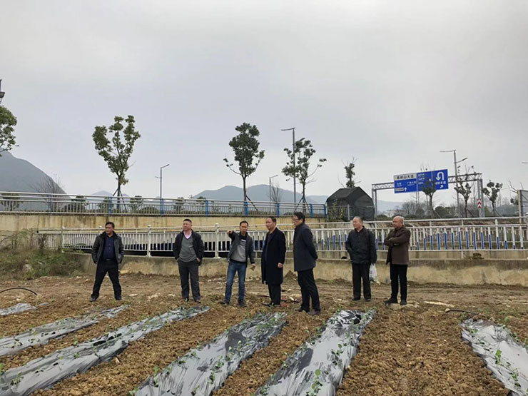 2121�Ƿ���(�й���)�����ٷ���վ