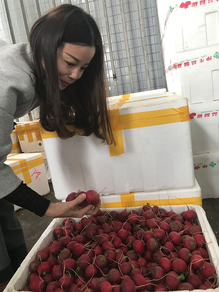 2121�Ƿ���(�й���)�����ٷ���վ