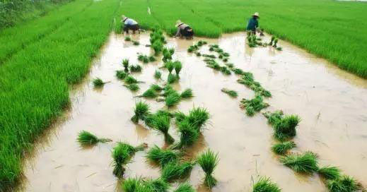 2121�Ƿ���(�й���)�����ٷ���վ