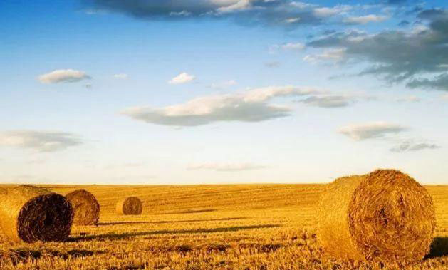 2121�Ƿ���(�й���)�����ٷ���վ