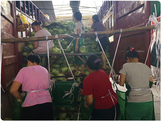 2121�Ƿ���(�й���)�����ٷ���վ