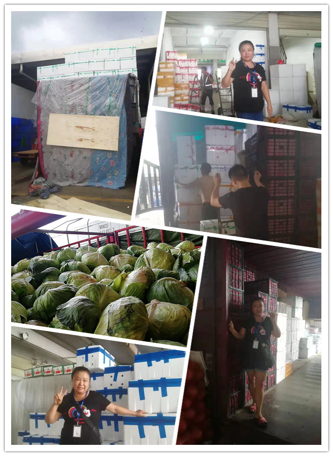 2121�Ƿ���(�й���)�����ٷ���վ