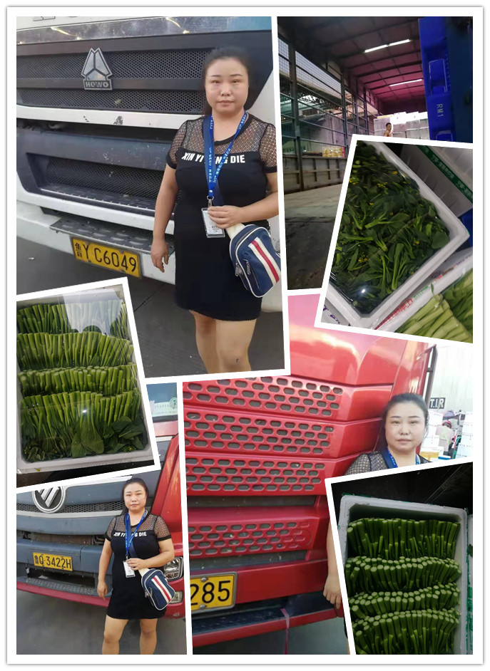 2121�Ƿ���(�й���)�����ٷ���վ