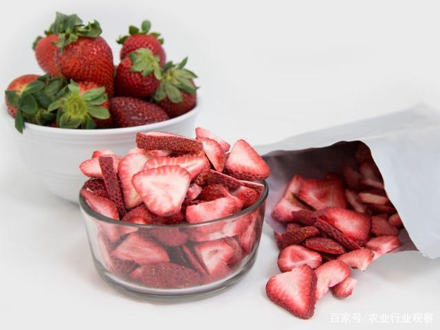 2121�Ƿ���(�й���)�����ٷ���վ