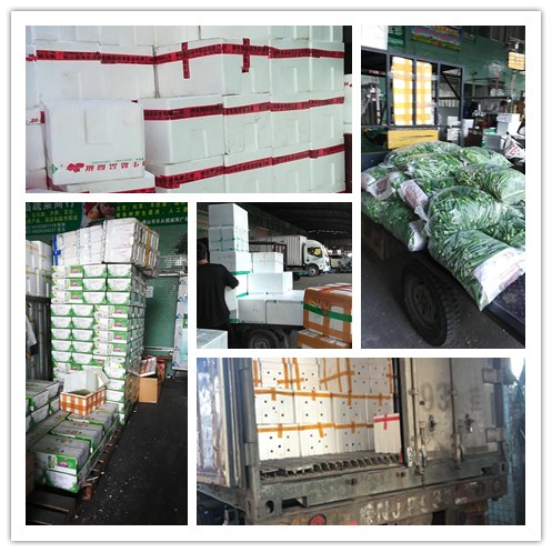 2121�Ƿ���(�й���)�����ٷ���վ