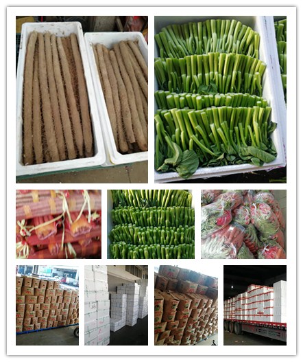 2121�Ƿ���(�й���)�����ٷ���վ