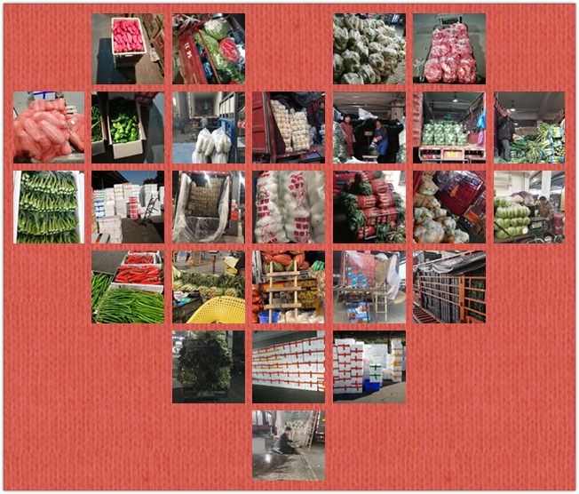 2121�Ƿ���(�й���)�����ٷ���վ