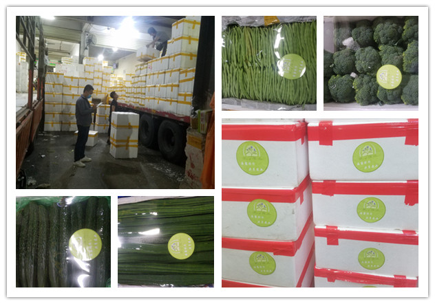 2121�Ƿ���(�й���)�����ٷ���վ