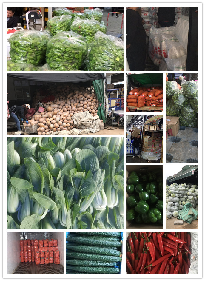 2121�Ƿ���(�й���)�����ٷ���վ