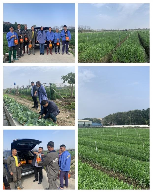 2121�Ƿ���(�й���)�����ٷ���վ