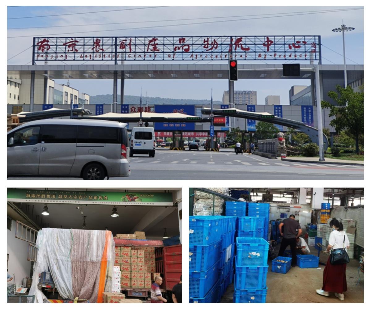 2121�Ƿ���(�й���)�����ٷ���վ