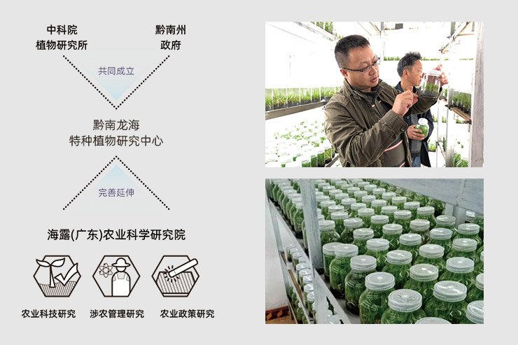 2121�Ƿ���(�й���)�����ٷ���վ